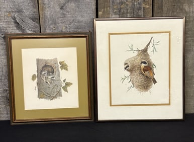Two Vintage Prints - The Raccoon, 1960 Eurasian Penduline Tit Bird Print 12"X12"