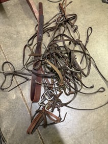 Collection Of Horse Tack 30"