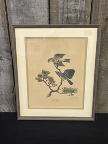Lazuli Buntings By American Wildlife Artist Ray Harm, Framed. 17"X20"