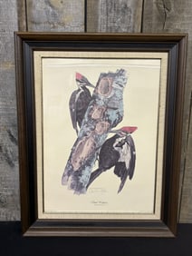 Pileated Woodpecker" By Tom Dunnington Certified Limited Edition 23"X29