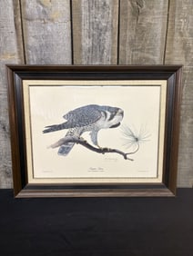 Peregrine Falcon" By Tom Dunnington Certified Limited Edition 29"X23