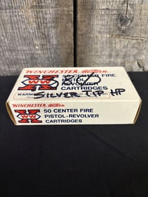 .380 Silver Top Hollow Points (App. 5")