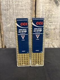 Two (2) Boxes of .22LR Hollow Points (App. 2")