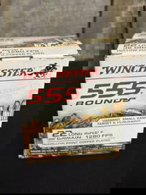 555 Winchester .22LR Rounds (App. 4")