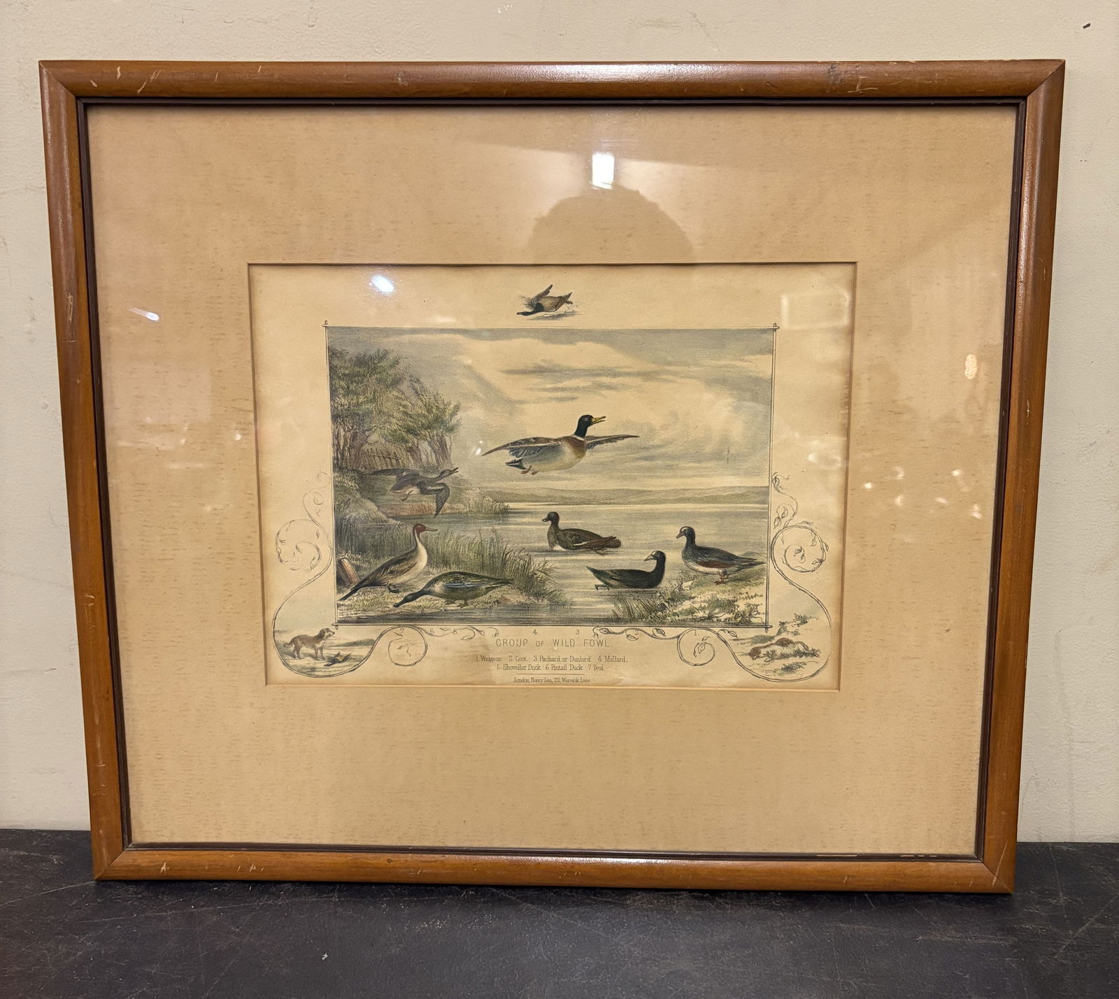 Framed "Group Of Wild Fowl" Print - 16"x18.5" (1 of 4)