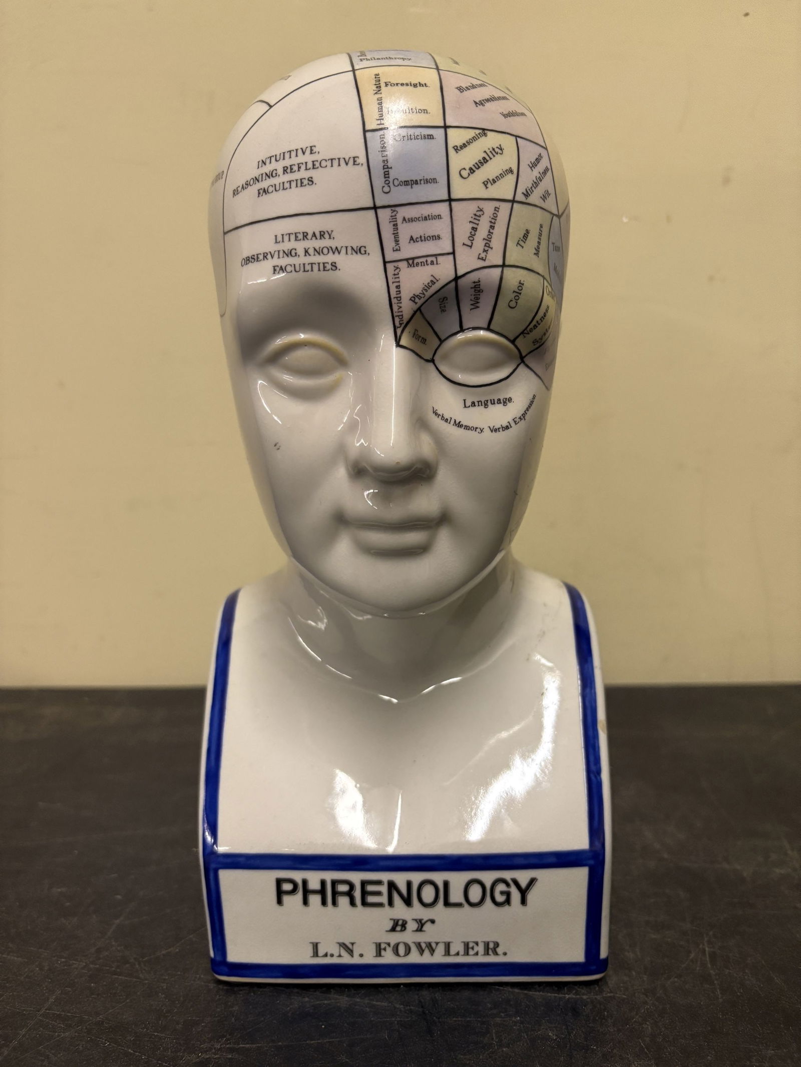 L.N. Fowler Ceramic Phrenology Head Bust - 5"x11.5"x4.5": L.N. Fowler Ceramic Phrenology Head Bust - 5"x11.5"x4.5"