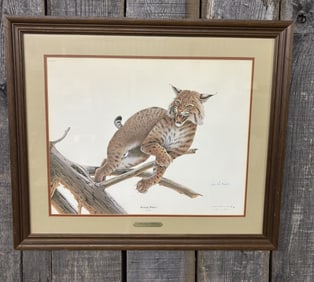 Kentucky Wildcat" By Jim Oliver Signed By Kentucky Basketball Coach Joe B. Hall 26"X23