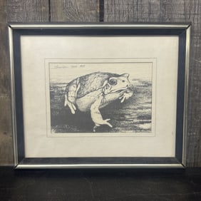 Pen And Ink Drawing Of A Frog Signed Louvier Dated 1975 11"X10"
