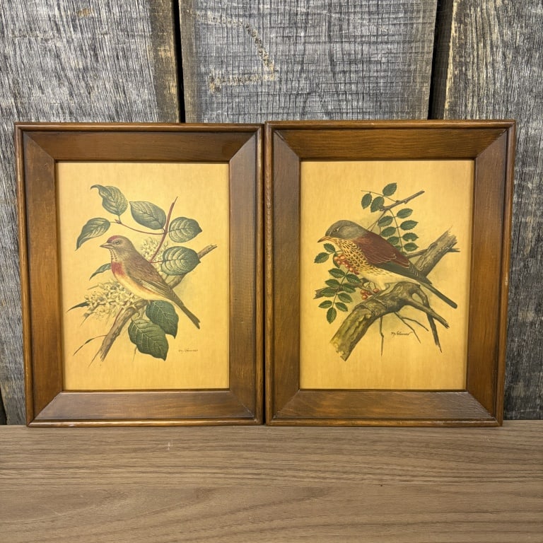 Vintage Framed Bird Prints By P.H. Gonner 8"X10" (1 of 4)