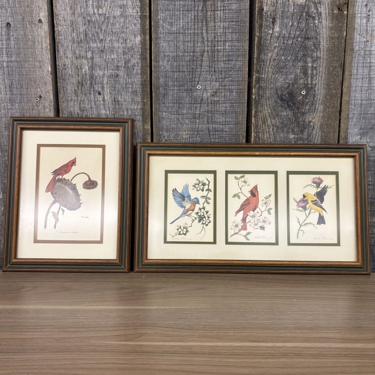 Pair Of Vintage Framed Bird Prints By Ray Harm And Helen Fleming 19"X10" (1 of 7)