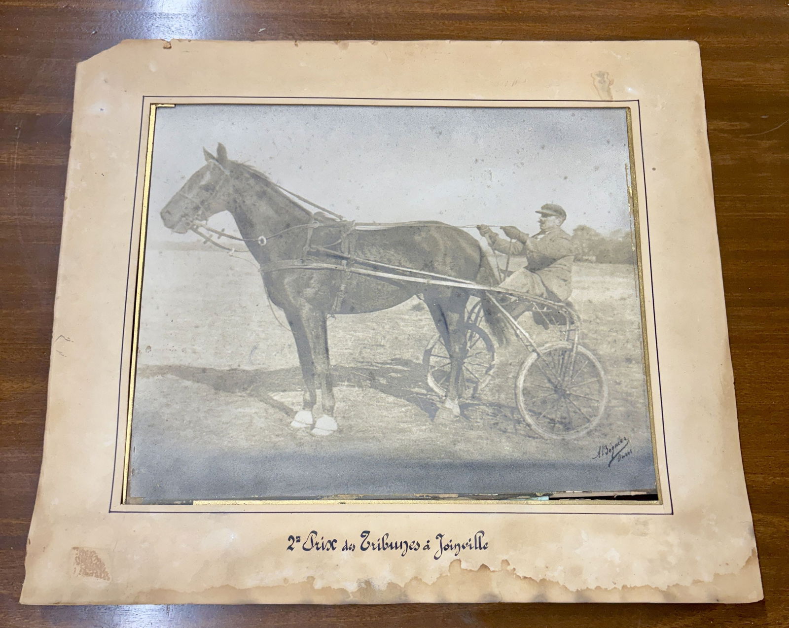 2nd Tribunes Prize In Joinville - French Harness Racing Horse Photograph; Possibly Famous American (1 of 4)