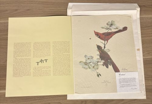 Cardinal" By Ray Harm 17"X20: "Cardinal" By Ray Harm 17"X20" - NOT AVAILABLE FOR SHIPPING, PICK UP OR TRANSPORT ONLY