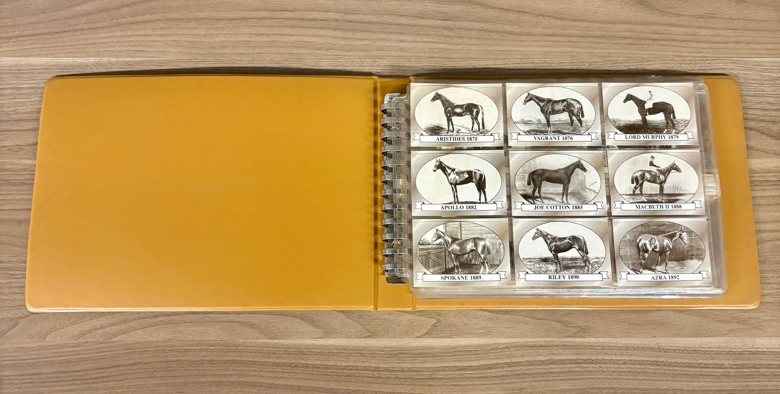 Collection of Kentucky Derby Trading Cards Produced by Horse Star Cards Inc throughout the years - (1 of 10)