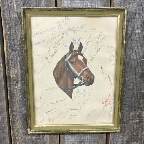 Framed Secretariat Commemorative Triple Crown Print from the L.C. Gosney Collection with Multiple: A framed commemorative print honoring the 1973 Triple Crown winner, Secretariat. The central artwork features a portrait of the horse's head in a blue halter, signed and dated in the plate Letitia '73