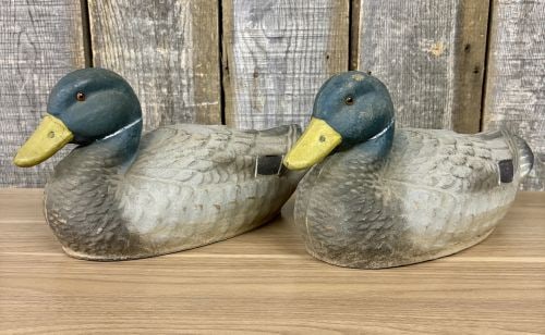 A Pair of Ariduk Mallard Drake Duck Decoys by General Fibre Co. (1 of 5)