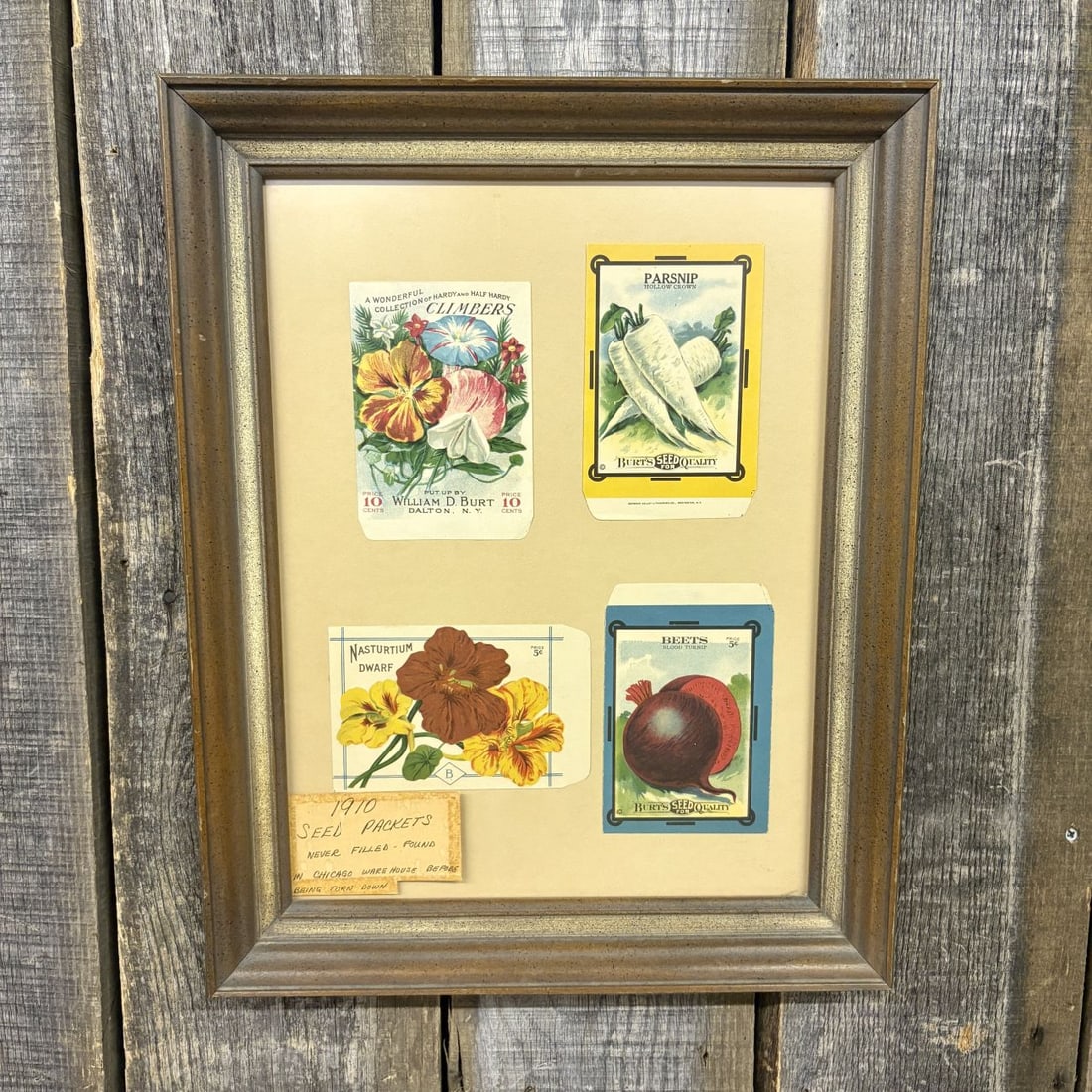 William D. Burt. A Collection of Four Vintage Unused Seed Packets. William D. Burt, Circa 1910.: A framed collection of four vintage, never-filled seed packets dating to approximately 1910. The assortment features color lithographic packets for Climbers, Hollow Crown Parsnip, Dwarf Nasturtium, an