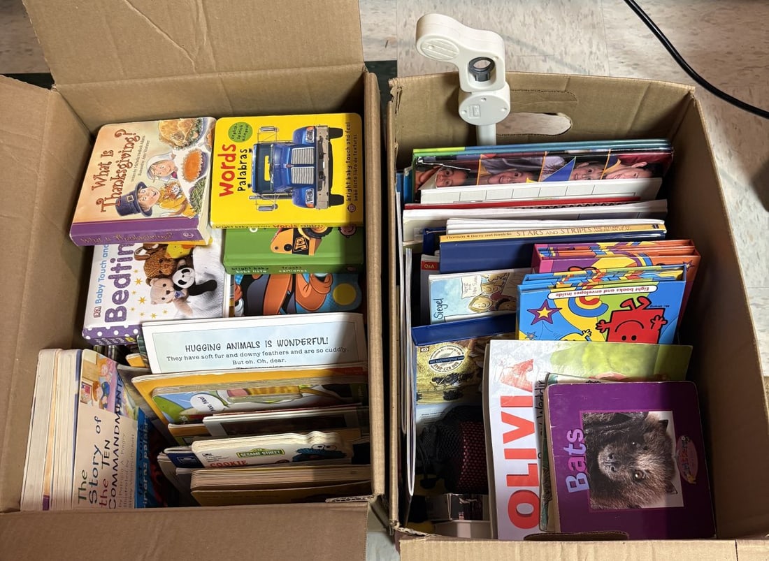 A Collection of Children's Picture and Board Books including Dr. Seuss, Pete the Cat, and Clifford: An assortment of children's literature contained within two cardboard boxes, comprising board books, pictorial hardcovers, and softcover paperbacks. The collection includes notable titles such as Gree