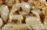 HETIAN JADE QIU-SHAN ORNAMENT - 3