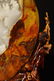 A HETIAN JADE LANDSCAPE CARVED MOUNTAIN SHAPE ORNAMENT - 5