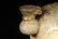 GILT BRONZE LONG-NECK BOTTLE - 5