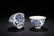 YONGZHENG MARK BLUE WHITE SHOU FLOWERS AND PLANTS - 7