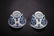 YONGZHENG MARK BLUE WHITE SHOU FLOWERS AND PLANTS - 9