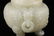 HETIAN WHITE JADE CHI DRAGON PATTERNING DOUBLE - 8