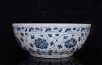 BLUE WHITE TANGLED-BRANCH LOTUS-BLOSSOM