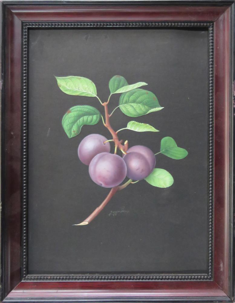 JAGGU PRASAD INDIA B. 1963 STILL LIFE PAINTING (1 of 4)