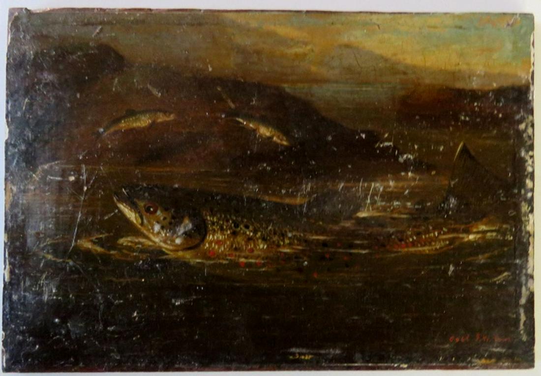 18TH/19TH C ENGLISH SCHOOL FISH PAINTING ON PANEL (1 of 14)