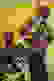 item-105413630=3
