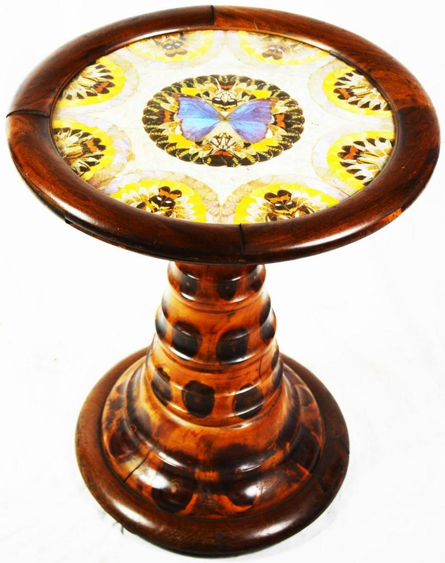 BRAZILIAN BUTTERFLY SPECIMEN TABLE (1 of 9)