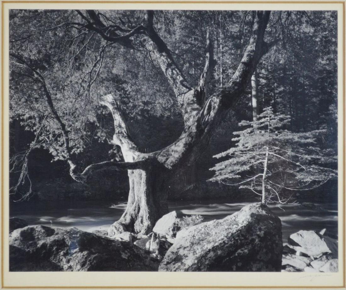 ANSEL ADAMS MERCED YOSEMITE SIGNED PHOTOGRAPH (1 of 10)