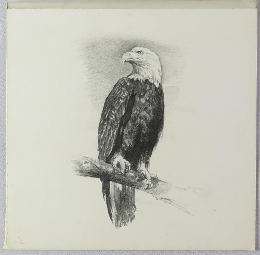 EVA CELLINI 1925-2017 DRAWING OF AN EAGLE SIGNED (1 of 3)