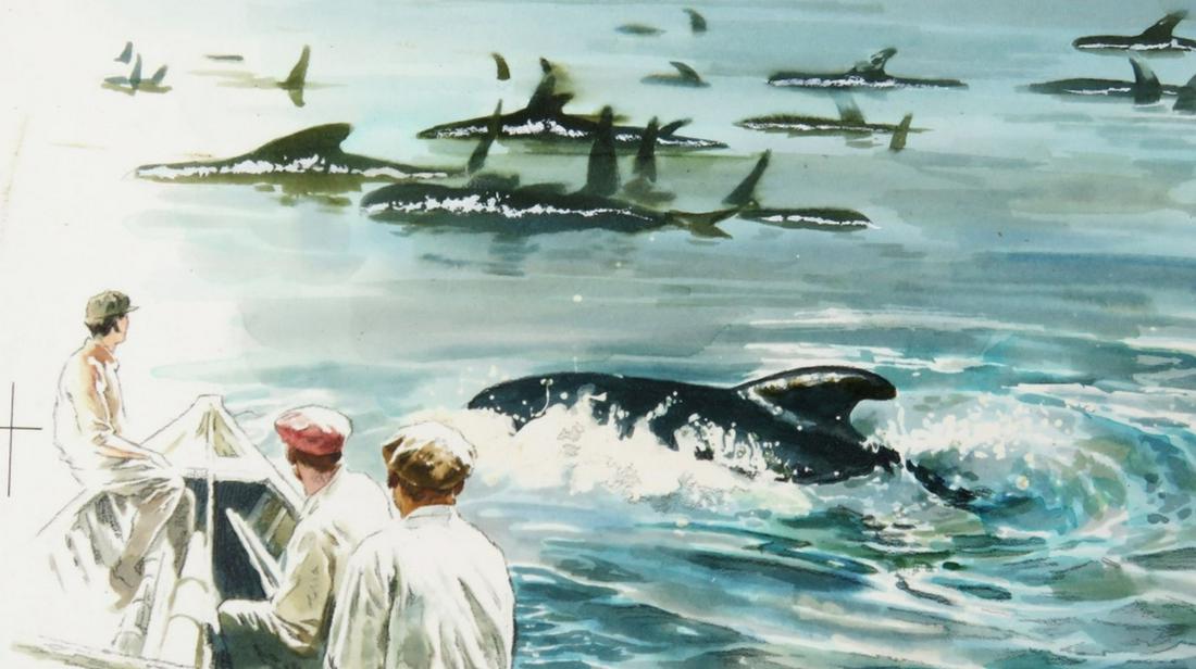 JOSEPH CELLINI "IN SEARCH OF A WHALE" PAINTING: Joseph (Josef) Cellini (Hungary / US 1924-1988). An illustration art painting (w/c / gouache on illustration stock) of a group in a boat viewing a group of killer whales. Signed on an agency card, ver
