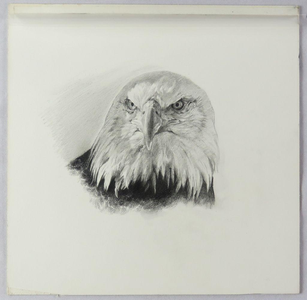 EVA CELLINI 1925-2017 DRAWING OF AN EAGLE SIGNED (1 of 3)