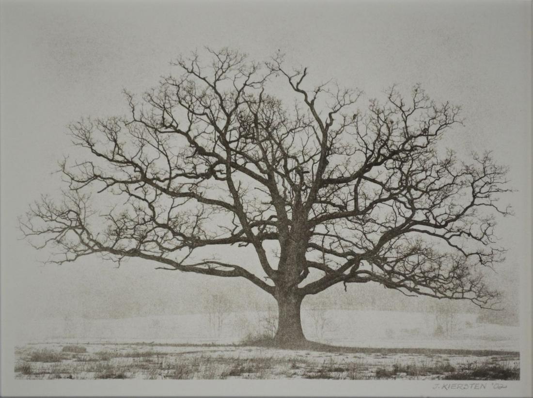 MODERN ARBOR ETCHING SIGNED KIERSTEN (1 of 5)