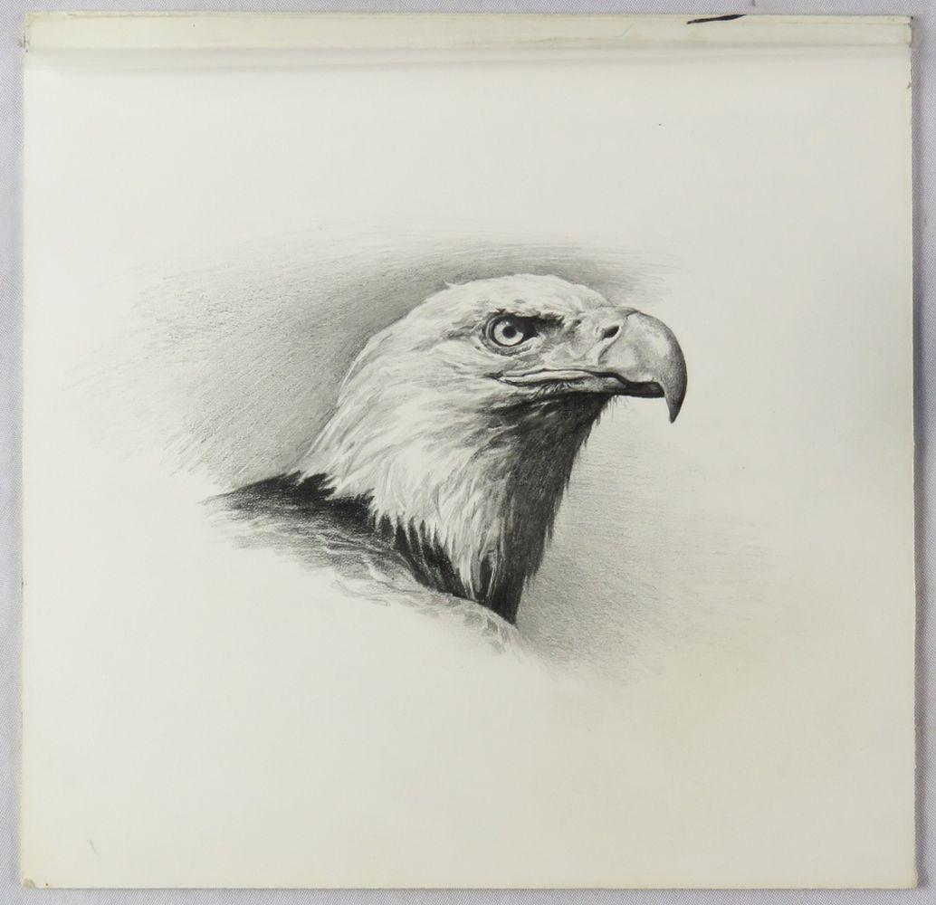 EVA CELLINI 1925-2017 DRAWING OF AN EAGLE SIGNED (1 of 3)