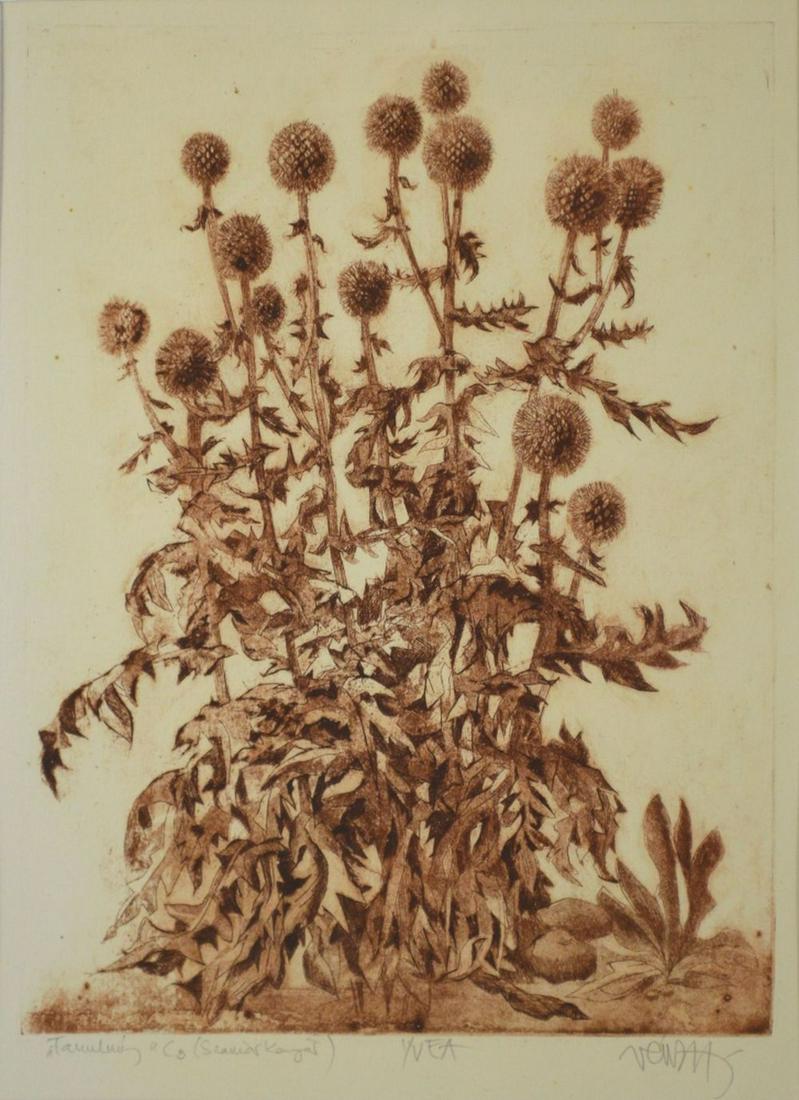 FLORAL ETCHING SIGNED IN FINE BURLWOOD FRAME (1 of 7)