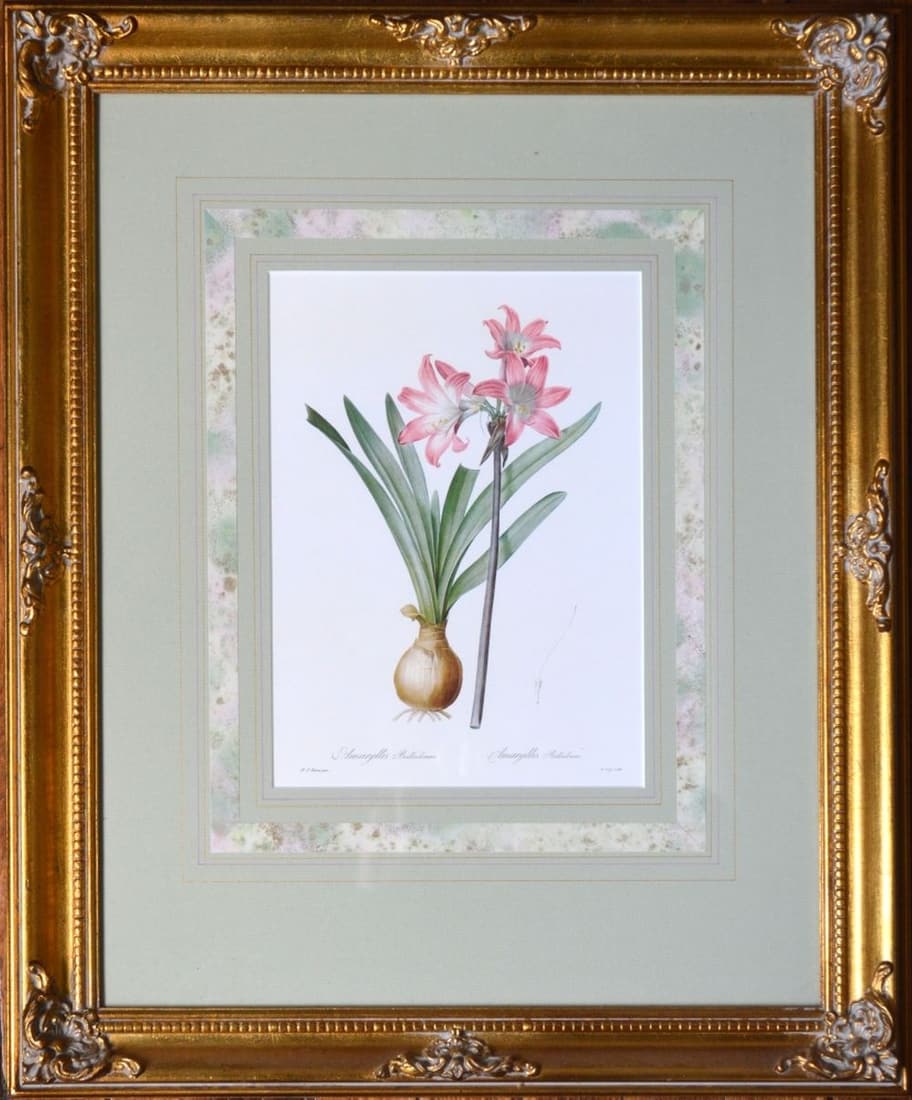 PAIR BOTANICAL PRINTS IN FRENCH STYLE GILT FRAMES (1 of 7)