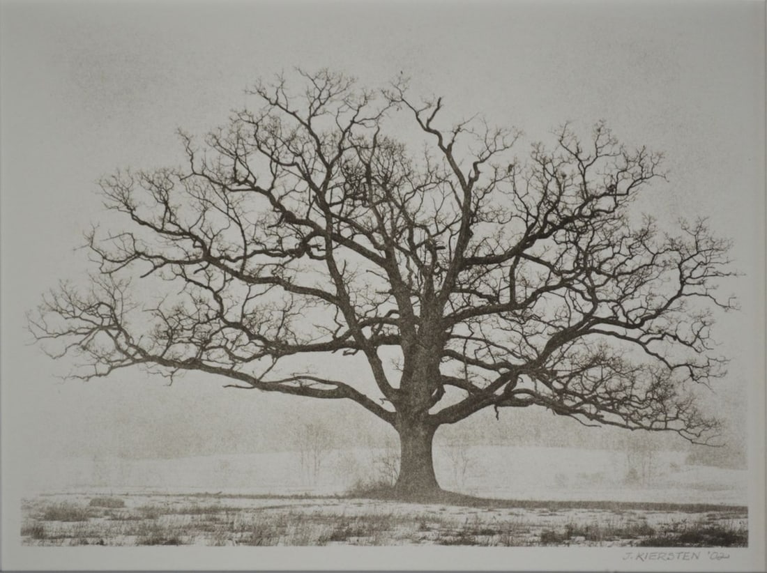 MODERN ARBOR ETCHING SIGNED KIERSTEN (1 of 5)