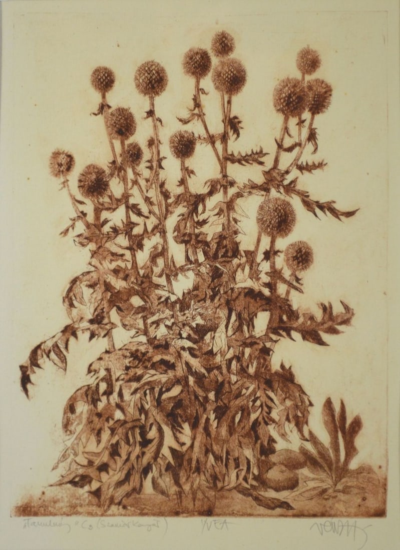 FLORAL ETCHING SIGNED IN FINE BURLWOOD FRAME (1 of 7)