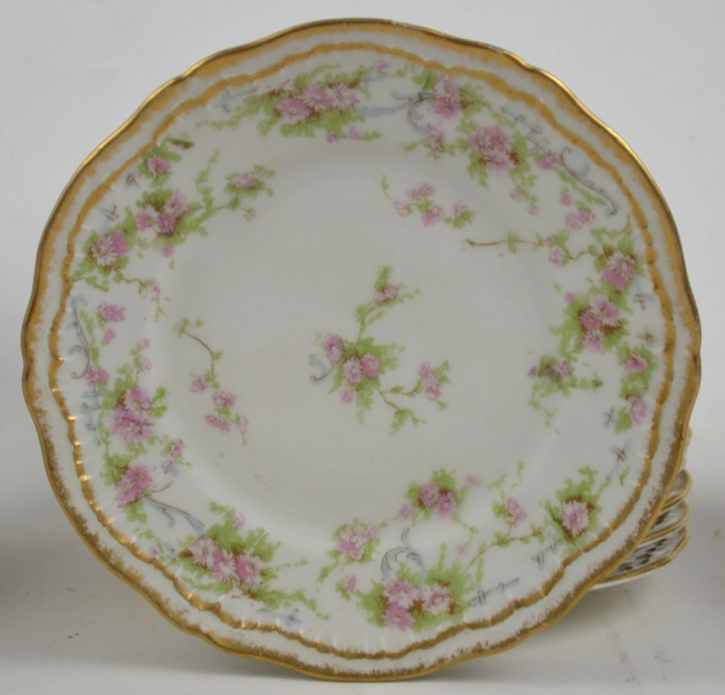 29 PIECE LIMOGES HAVILAND CHINA SET (1 of 10)