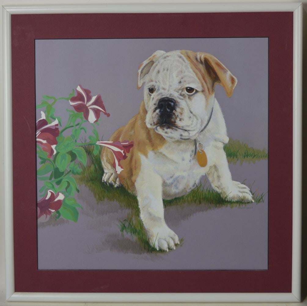 A BULLDOG PORTRAIT PAINTING: A contemporary painting of a bulldog. The work is mixed media on paper/paperboard. It is framed in a contemporary frame (missing glass). Measures: 22" x 22"