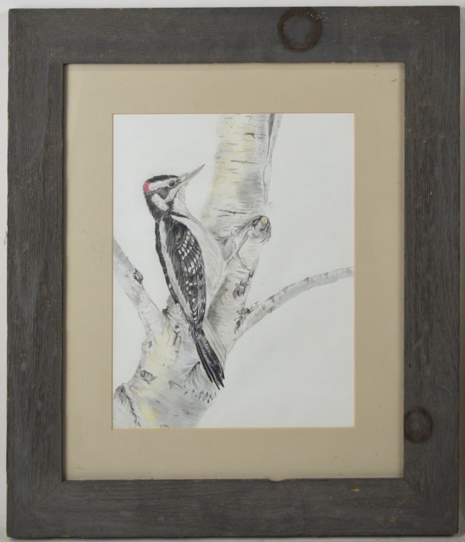 VINTAGE WILDLIFE WOODPECKER DRAWING FRAMED: A vintage drawing of a woodpecker. The drawing is graphite and colored pencil on paper. It is framed in an appealing primitive style frame, under glass. Measures: 18 1/2" x 16" Sight: 11" x 8 1/2"