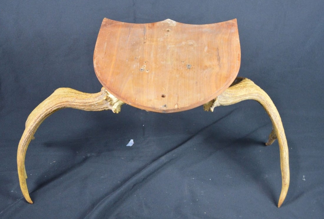 CABIN READY MOUNTED ANTLERS - 5