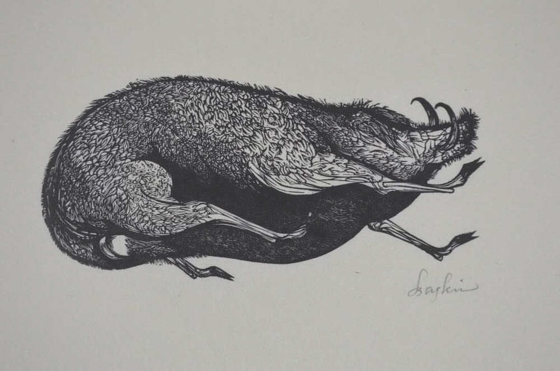 LEANARD BASKIN BOAR PRINT SIGNED KENNEDY GALLERY: Leonard Baskin (Amer. 1922-2000). A good wood engraving / woodcut titled "Boar". The work is signed, in pencil. With a Kennedy Gallery label with identifying information. Provenance: From a
