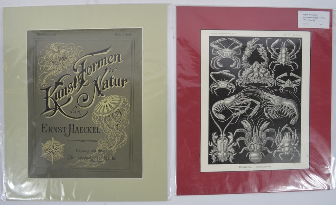 2 PC GERMAN PRINTWORK INC ERNEST HAECKEL (1 of 8)