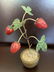 Faberge Russian Silver Nephrite Red Jasper Honey Agate - 3