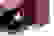 item-102680675=2